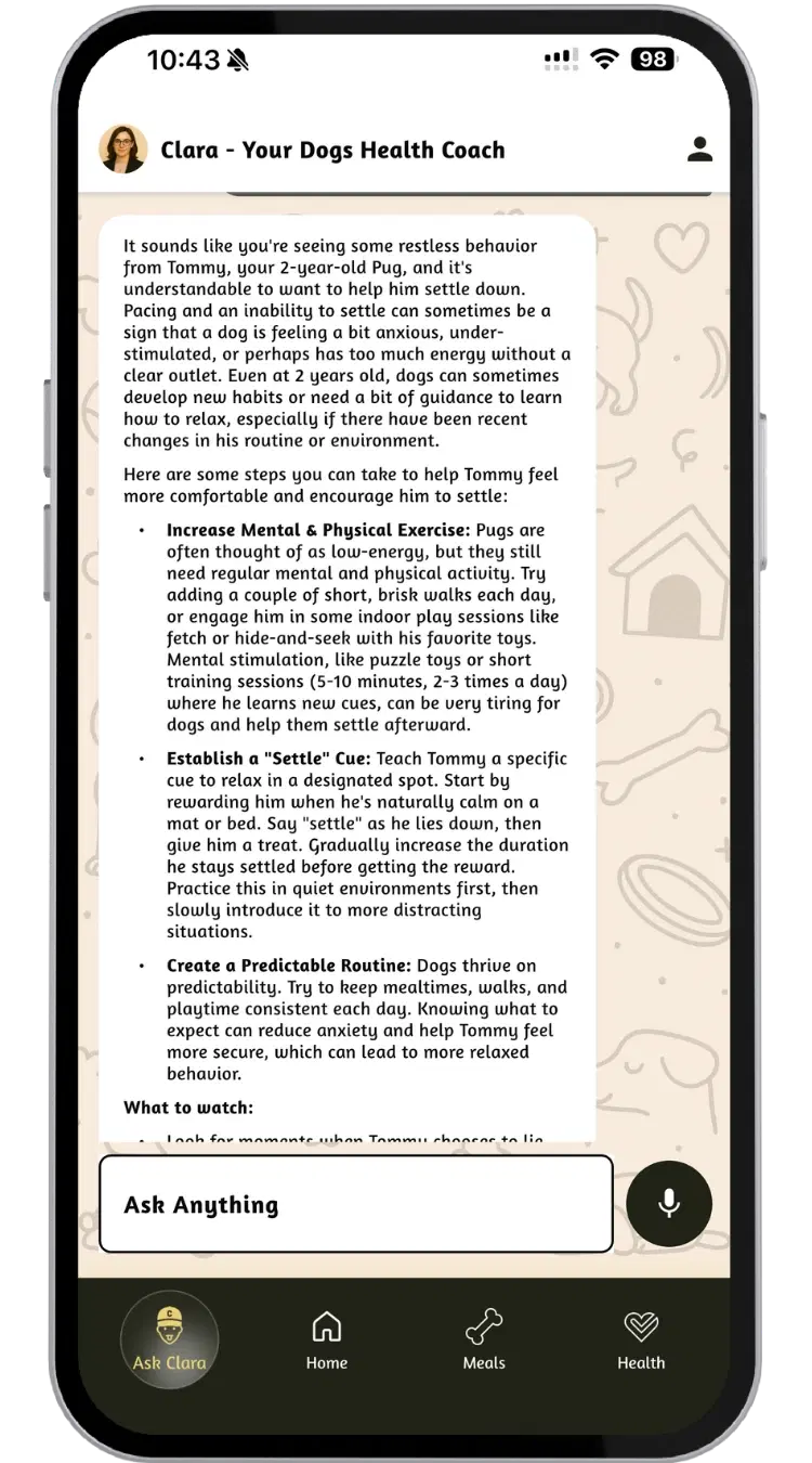 Clara presenting tailored advice for a dog parent